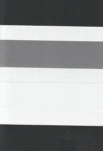 Закрытые рулонные шторы день-ночь Салерно, серый 2002 купить в Сергиеве посаде с доставкой